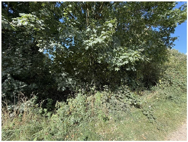 Sonstiges in Hagen-Weissenberg — Bild 2