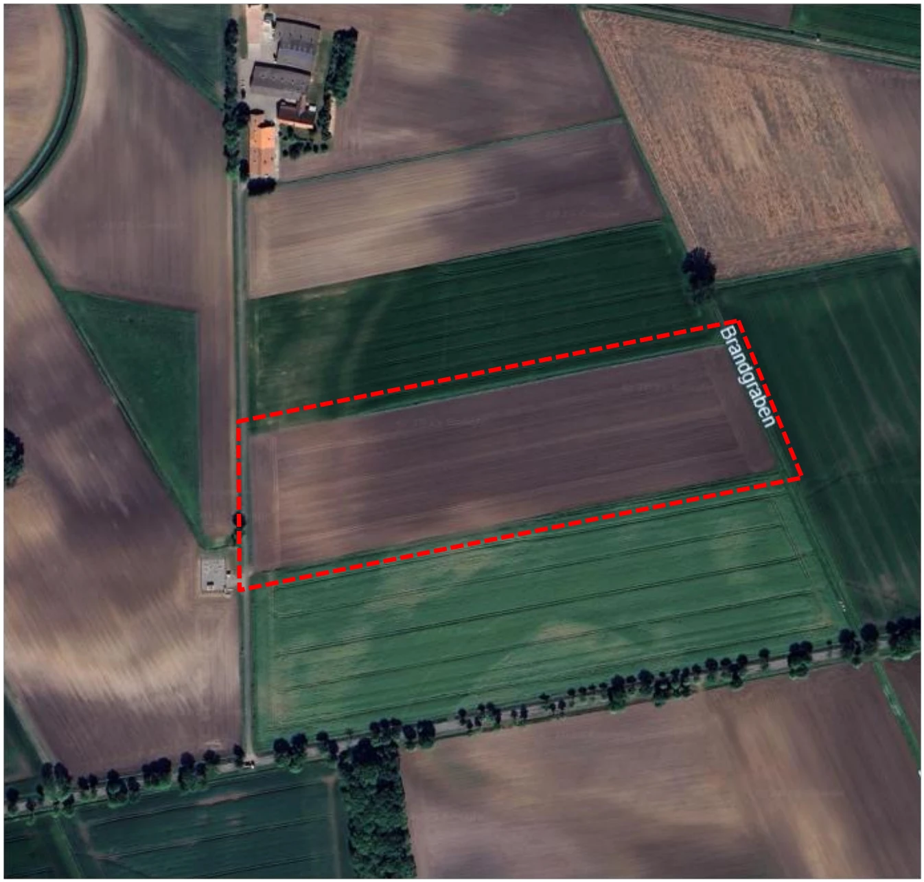 land- und forstwirtschaftlich genutztes Grundstück in Lembruch — Bild 2