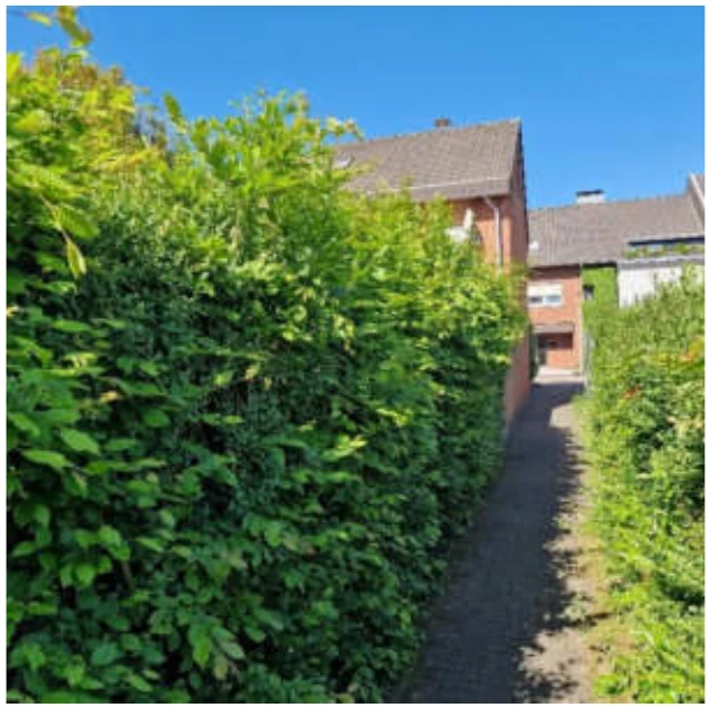 Einfamilienhaus (Reihenendhaus), Garage, Verkehrsfläche in Schermbeck — Bild 2