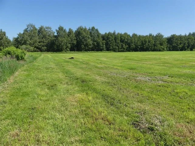 land- und forstwirtschaftlich genutztes Grundstück in Vechta — Bild 2