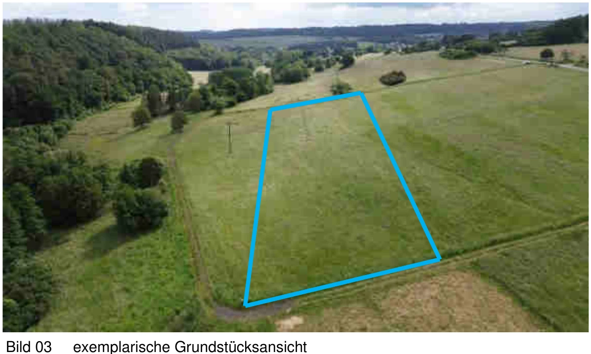 land- und forstwirtschaftlich genutztes Grundstück in Holler — Bild 2