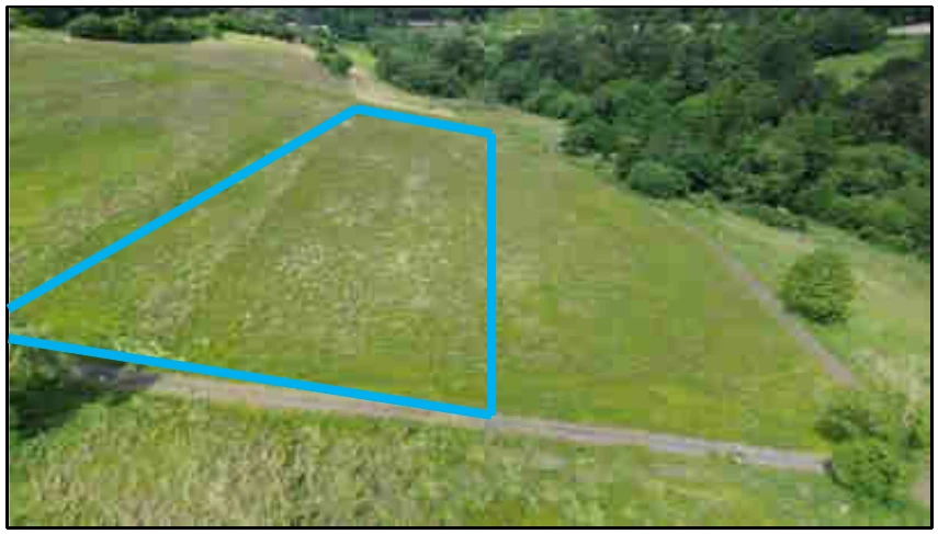 land- und forstwirtschaftlich genutztes Grundstück in Holler — Bild 3