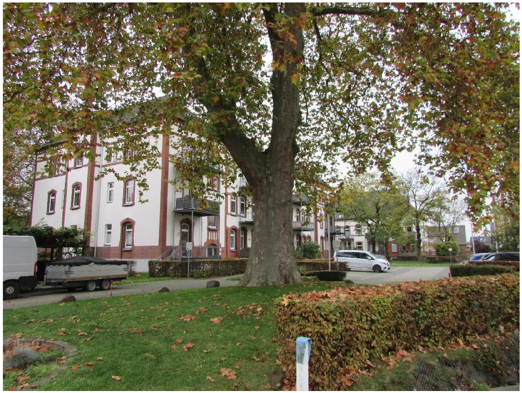 3 Raum Wohnung nebst Tiefgaragenstellplatz in Wesel — Bild 2