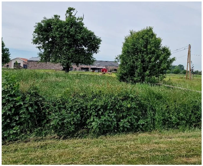 unbebautes Grundstück in Hamminkeln — Bild 3