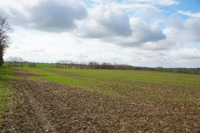 land- und forstwirtschaftlich genutztes Grundstück in Wanzleben-Börde