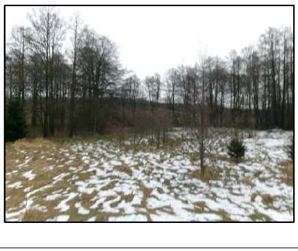 unbebautes Grundstück in Großhartmannsdorf — Bild 2