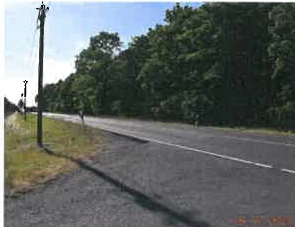 Waldfläche in Gotha — Bild 2