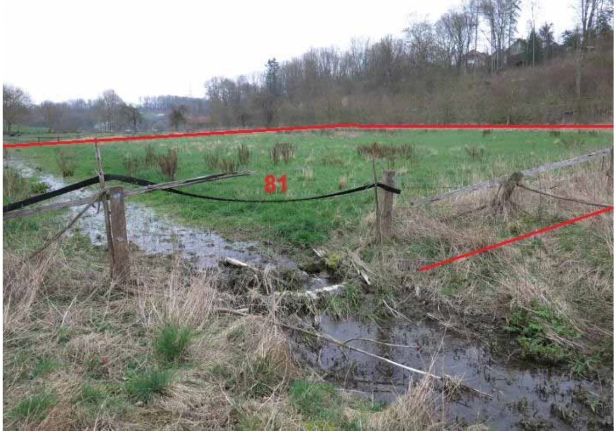 Sonstiges in Brakel — Bild 2