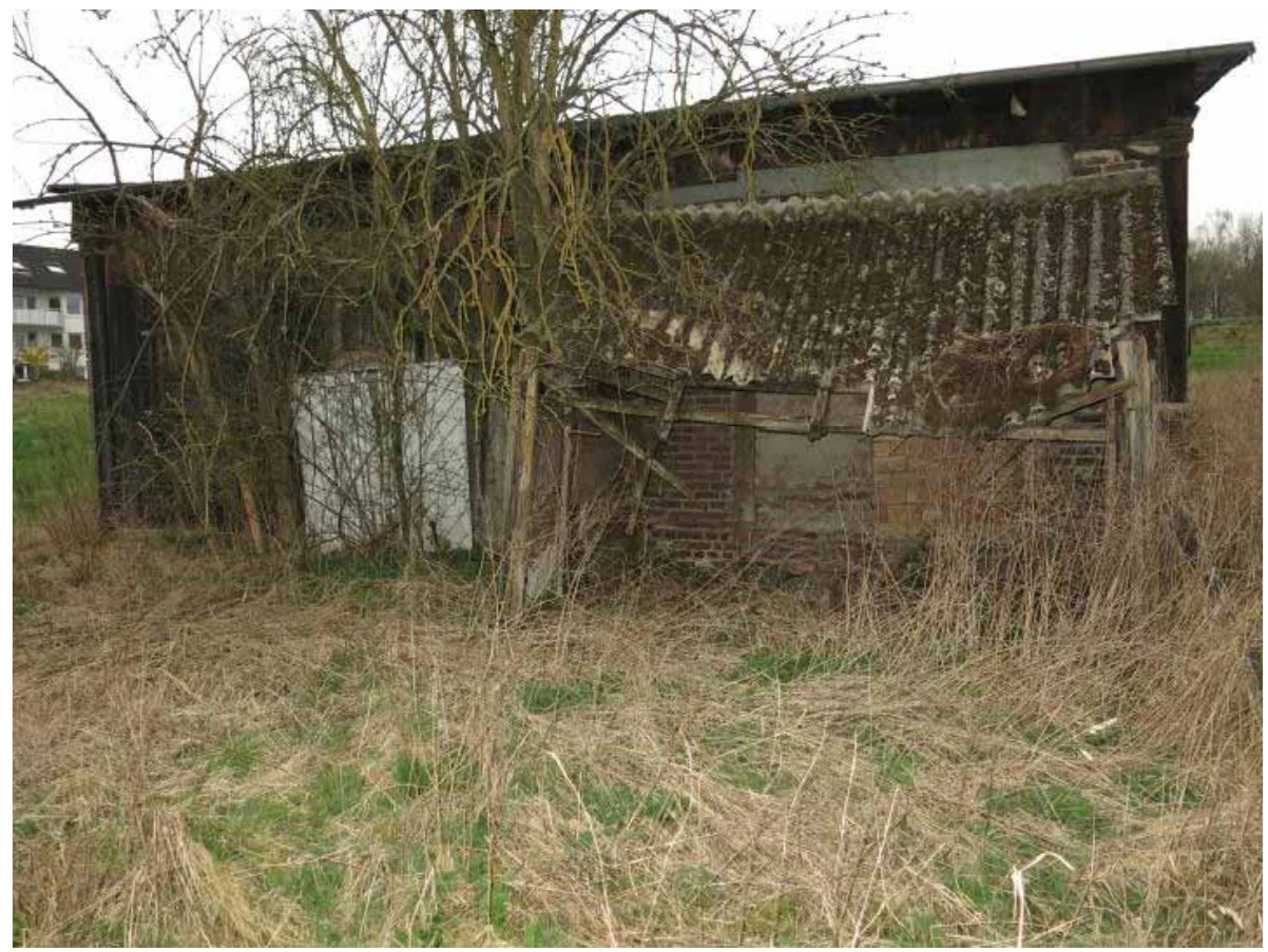 Sonstiges in Brakel — Bild 3