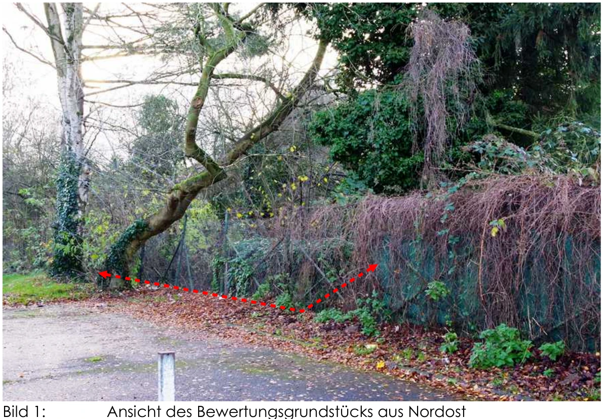 unbebautes Grundstück, land- und forstwirtschaftlich genutztes Grundstück, unbebautes Grundstück, genutzt als Freizeitfläche/Gartenland in Jüchen — Bild 2