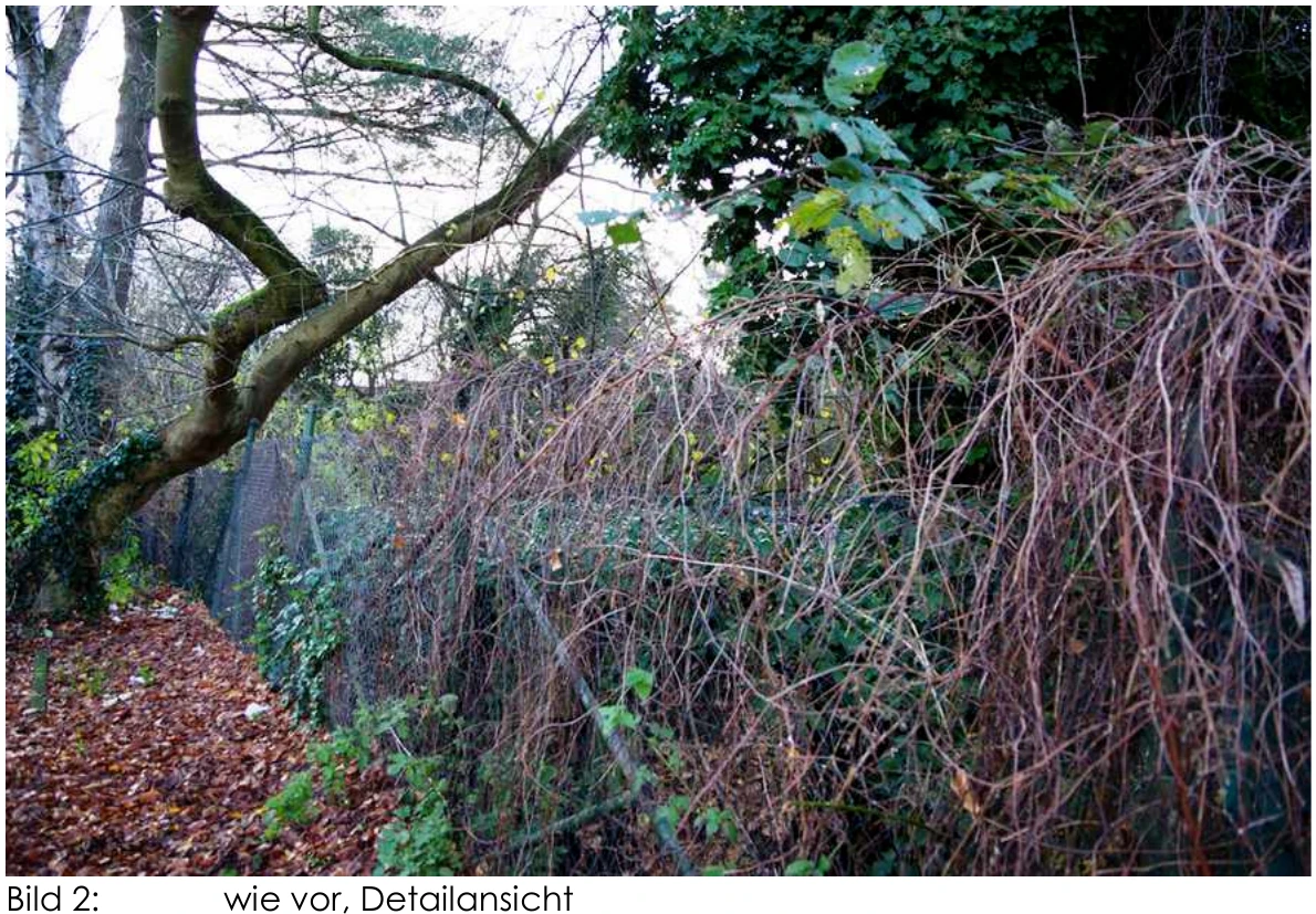 unbebautes Grundstück, land- und forstwirtschaftlich genutztes Grundstück, unbebautes Grundstück, genutzt als Freizeitfläche/Gartenland in Jüchen — Bild 3