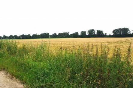 Bauerwartungsland in Grevenbroich