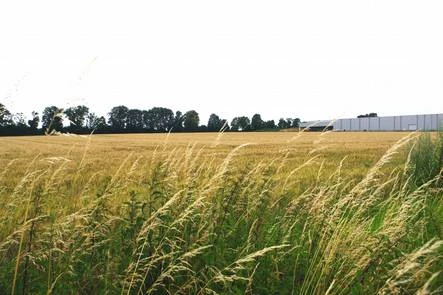 Bauerwartungsland in Grevenbroich — Bild 3
