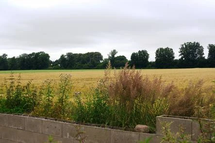unbebautes Grundstück in Grevenbroich — Bild 3