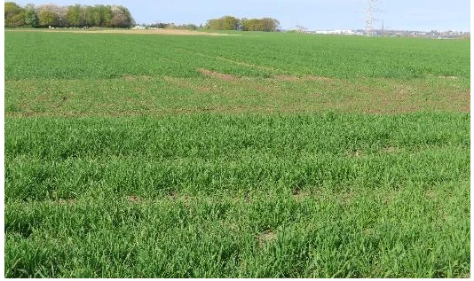 unbebautes Grundstück in Broichweiden — Bild 2