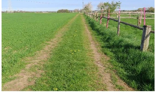 unbebautes Grundstück in Broichweiden — Bild 3