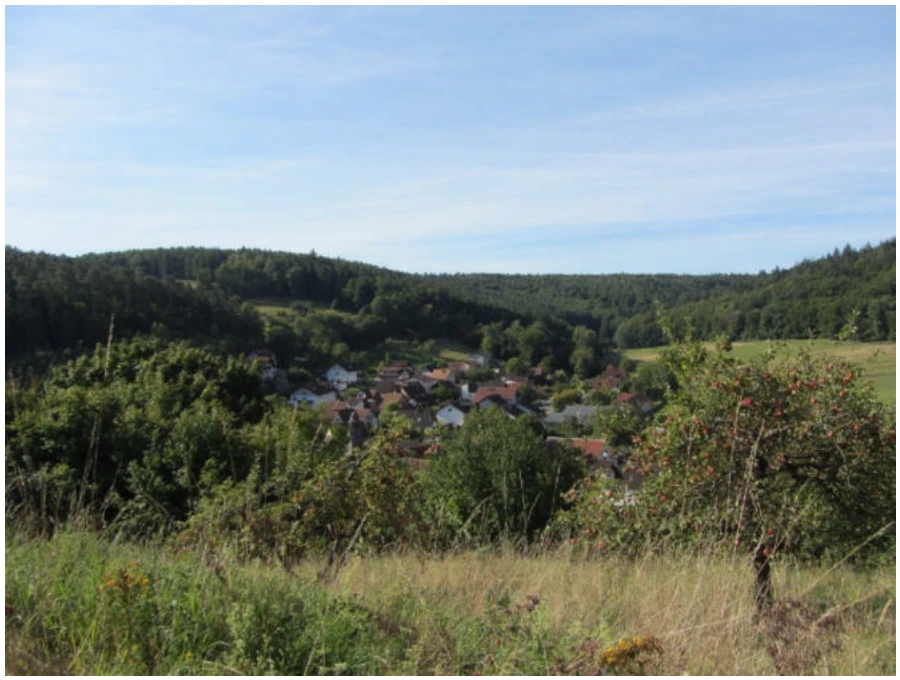 Baugrundstück in Breuberg — Bild 3