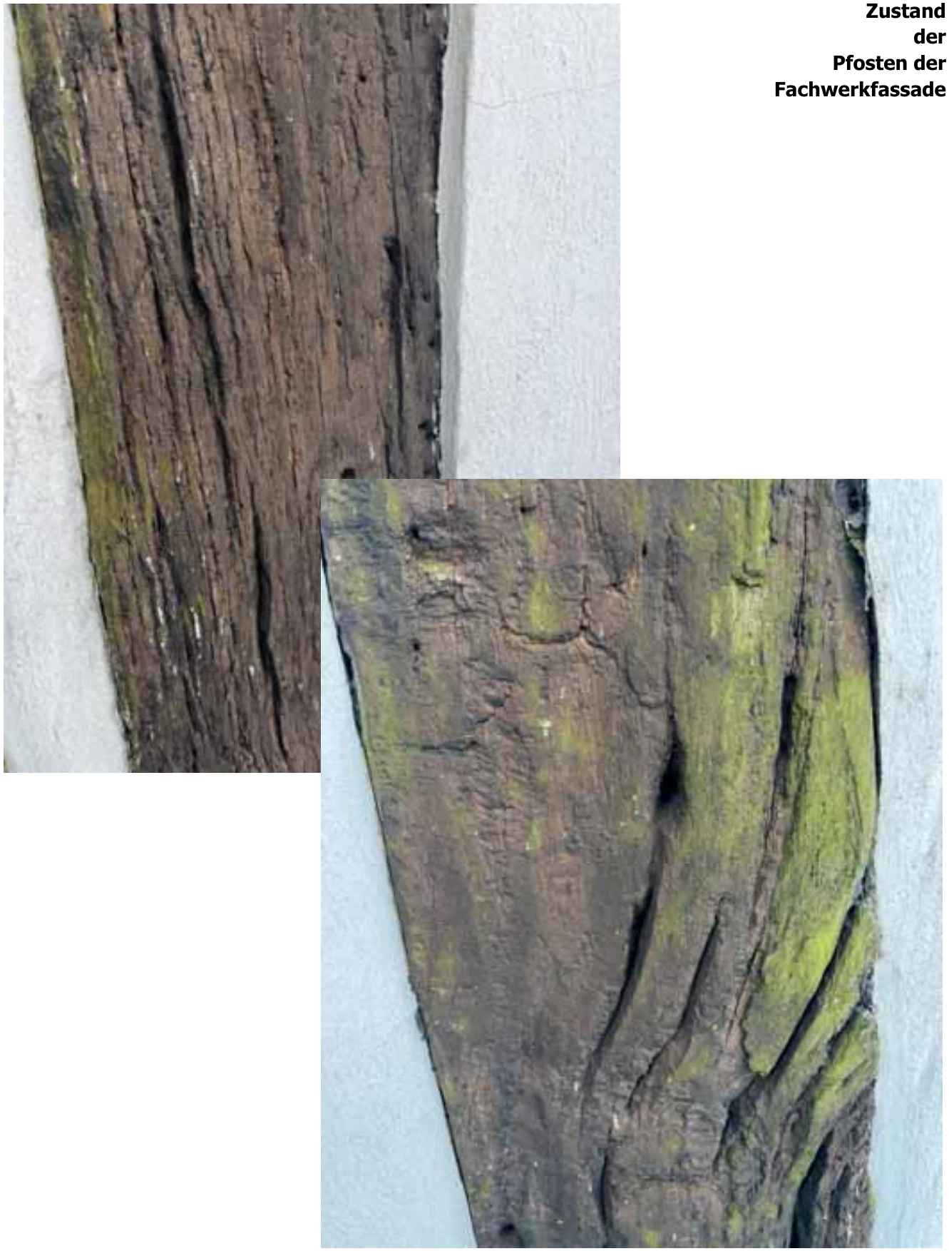 unbebautes Grundstück, Einfamilienhaus in Horn-Bad Meinberg — Bild 2