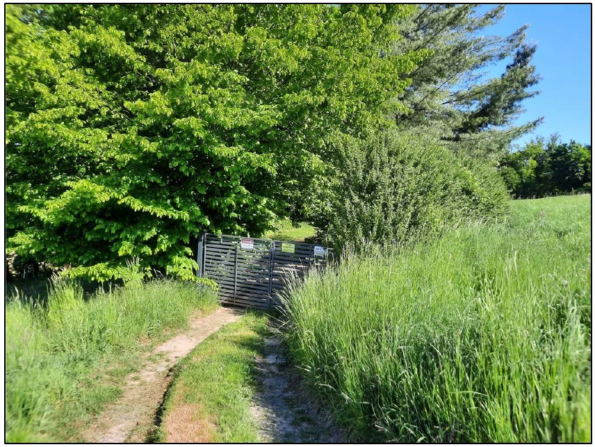 Sonstiges in Guxhagen — Bild 3