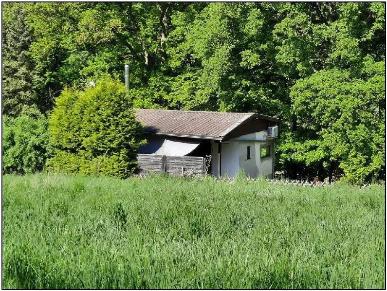 Sonstiges in Guxhagen — Bild 2