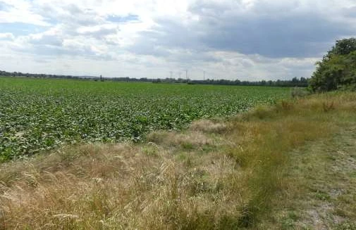 Sonstiges in Wolfenbüttel — Bild 2