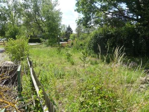 Sonstiges in Wolfenbüttel — Bild 3