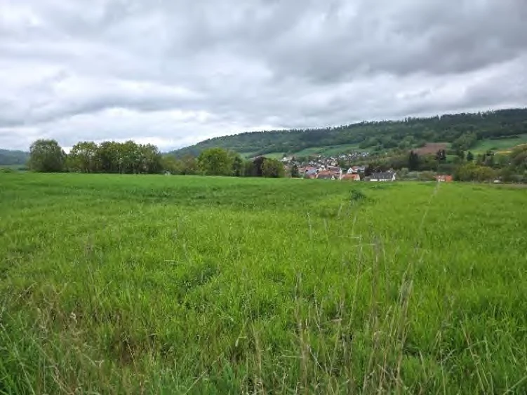 land- und forstwirtschaftlich genutztes Grundstück in Spangenberg — Bild 2