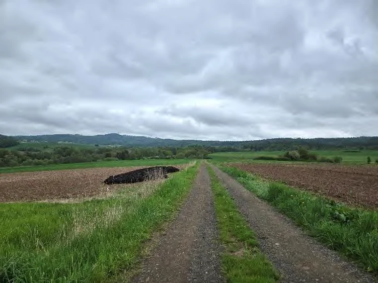 land- und forstwirtschaftlich genutztes Grundstück in Spangenberg — Bild 3