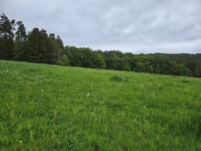 land- und forstwirtschaftlich genutztes Grundstück in Spangenberg
