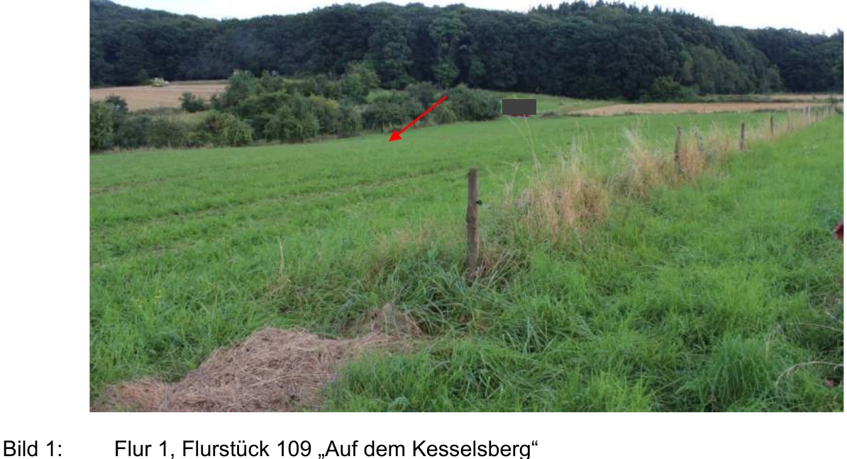 land- und forstwirtschaftlich genutztes Grundstück in Wachtberg — Bild 3