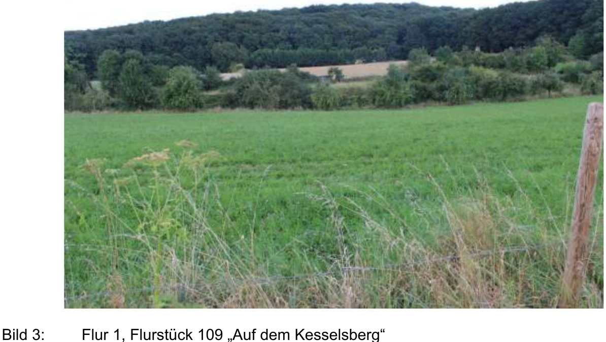 land- und forstwirtschaftlich genutztes Grundstück in Wachtberg — Bild 2
