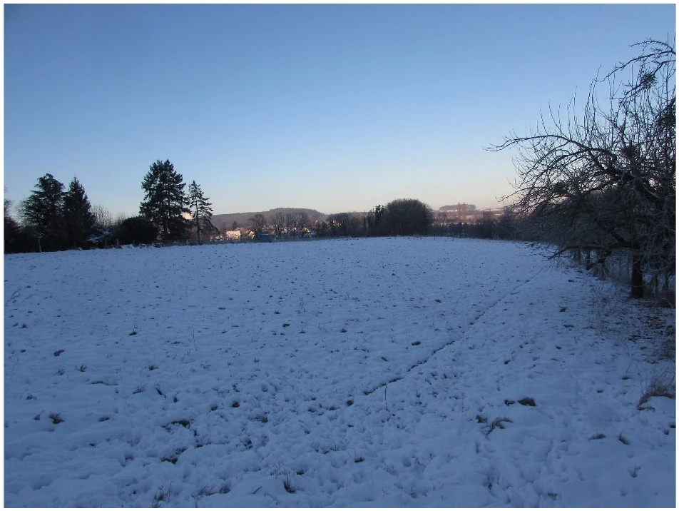 land- und forstwirtschaftlich genutztes Grundstück in Wachtberg — Bild 2