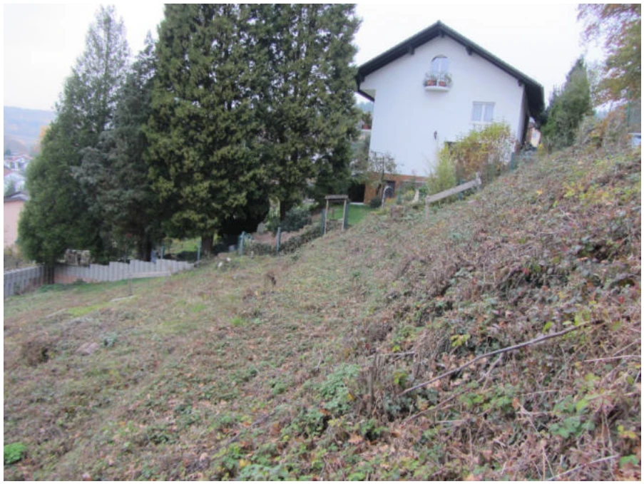 Baugrundstück in Höchst — Bild 2