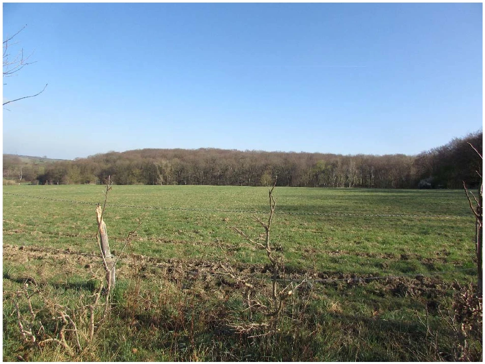 land- und forstwirtschaftlich genutztes Grundstück in Wachtberg — Bild 2