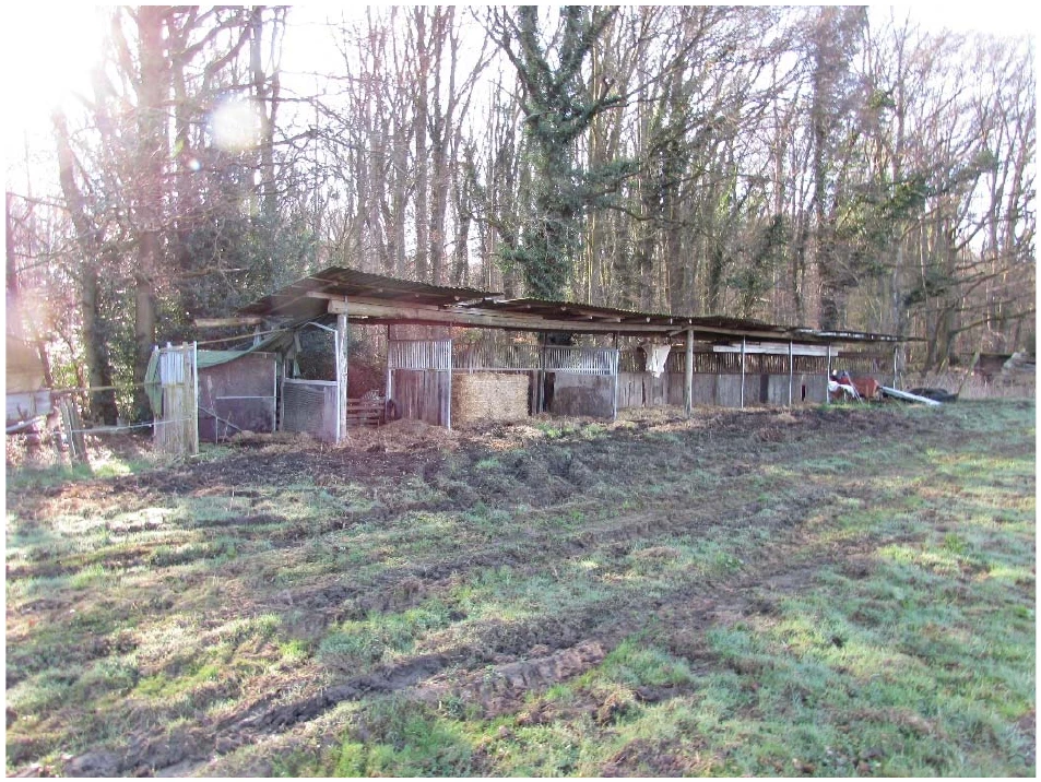 land- und forstwirtschaftlich genutztes Grundstück in Wachtberg — Bild 3