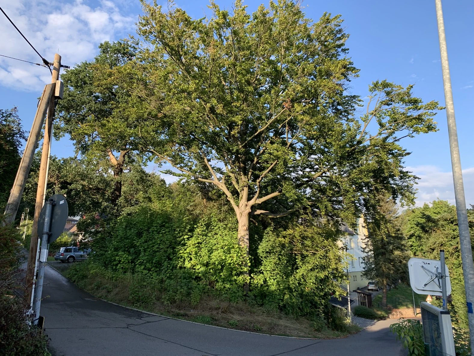 Wohnungseigentum in Flöha — Bild 3