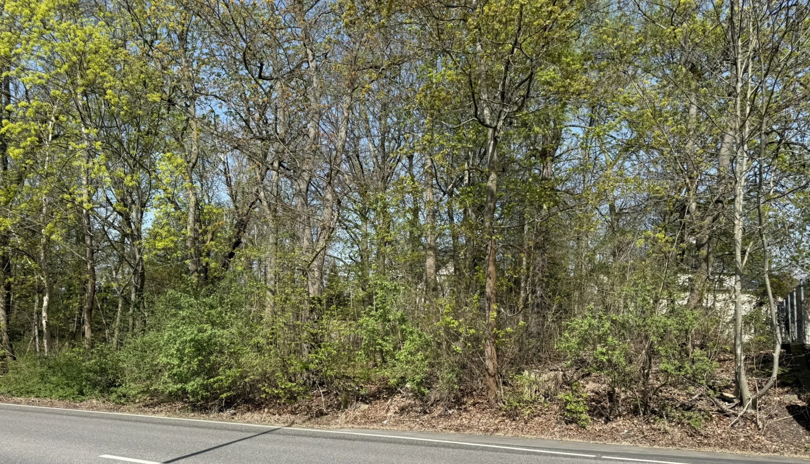 Grundstück in Chemnitz — Bild 2