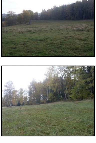 land- und forstwirtschaftlich genutztes Grundstück in  — Bild 2