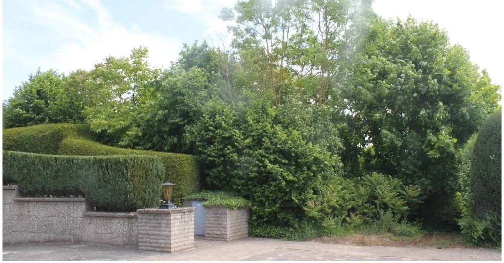 unbebautes Grundstück in Hameln — Bild 2