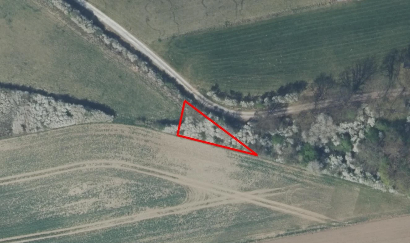 land- und forstwirtschaftlich genutztes Grundstück in Emmerthal — Bild 3