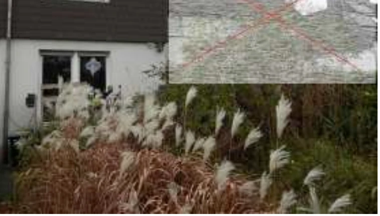 Garage, Einfamilienhaus, Doppelhaushälfte in Castrop-Rauxel — Bild 3