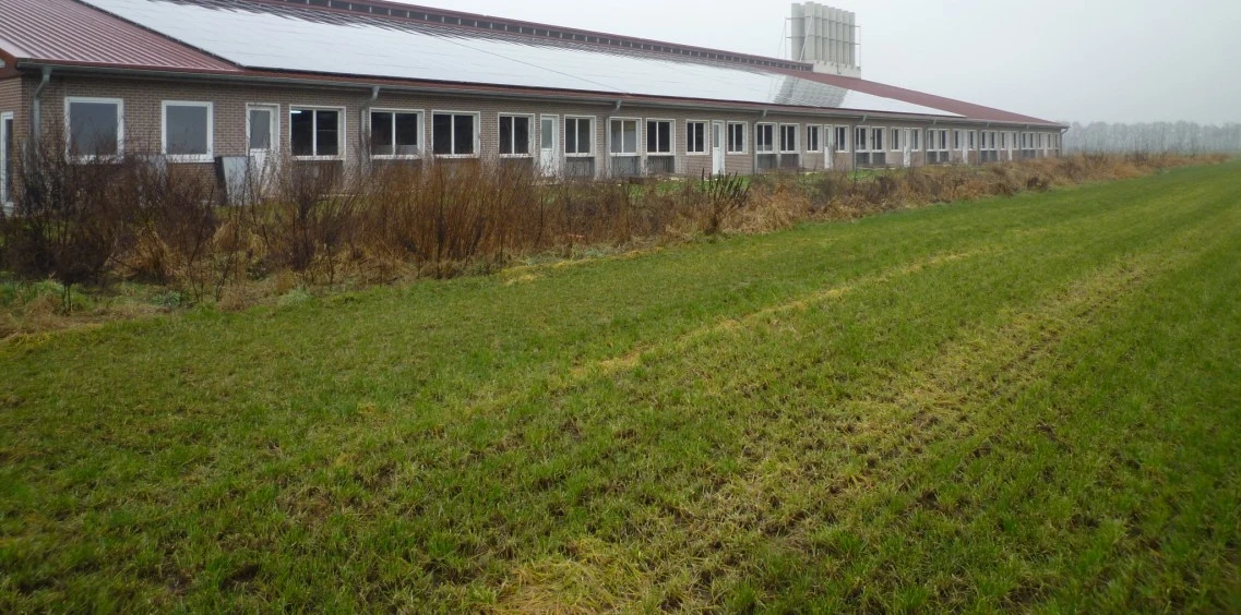 Sonstiges, Schweinemastbetrieb nebst Wohnhaus in Geeste — Bild 3