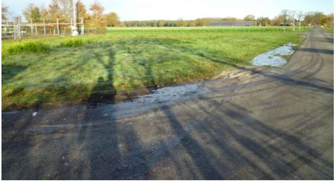 land- und forstwirtschaftlich genutztes Grundstück in Haren (Ems) — Bild 3