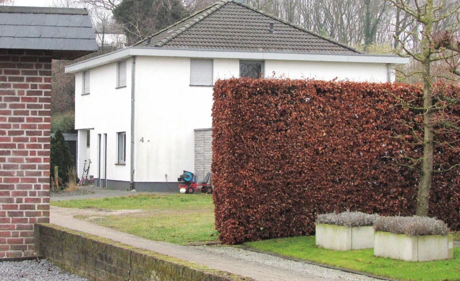Einfamilienhaus in Goch — Bild 2