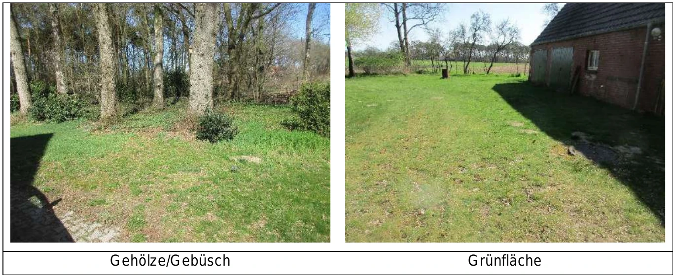 Einfamilienhaus, Wohnhaus mit Gästezimmern in Lähden — Bild 3