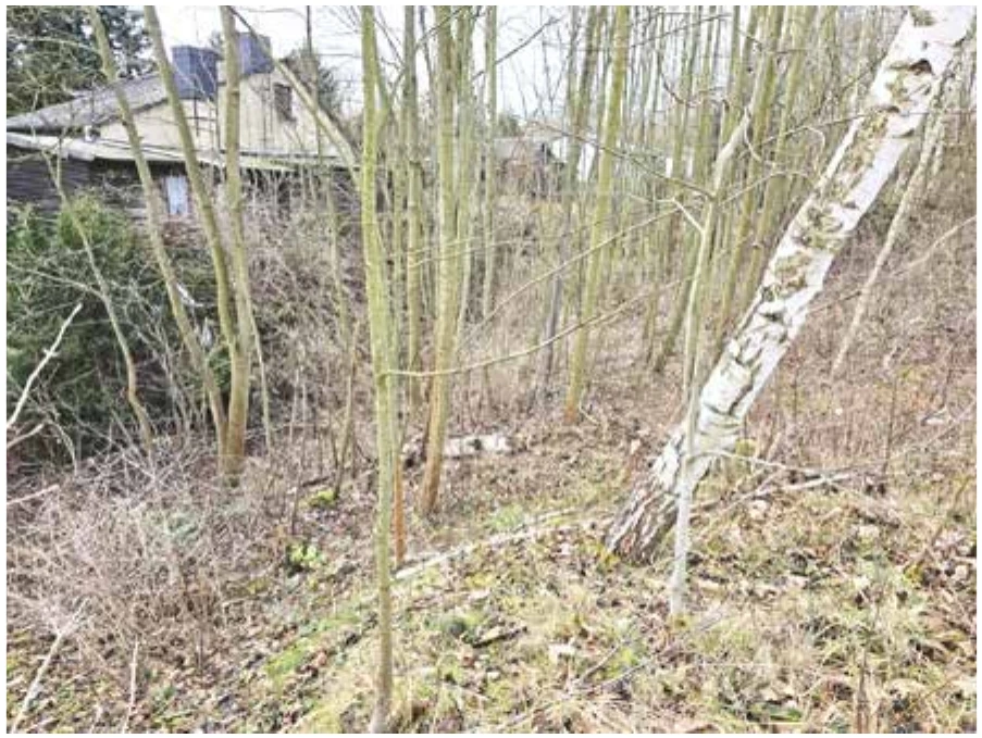 Grundstück in Lunzenau — Bild 2