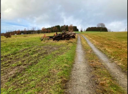 land- und forstwirtschaftlich genutztes Grundstück in Lauter-Bernsbach — Bild 2