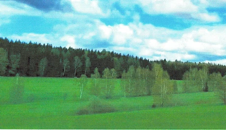 land- und forstwirtschaftlich genutztes Grundstück in Lauter-Bernsbach — Bild 3