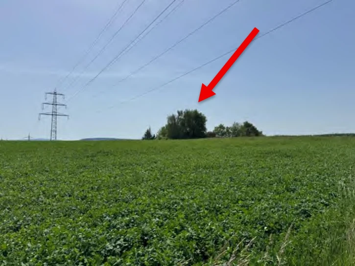 land- und forstwirtschaftlich genutztes Grundstück in Reinheim