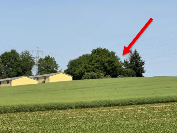 land- und forstwirtschaftlich genutztes Grundstück in Reinheim — Bild 2